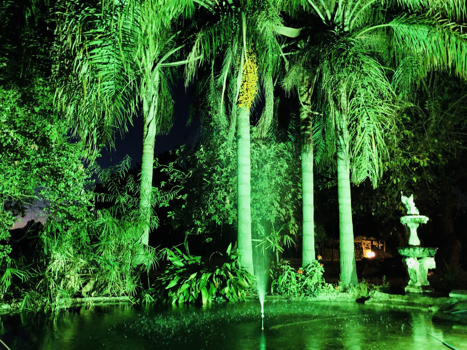 Lounge con alfombras y mimbre en los jardines